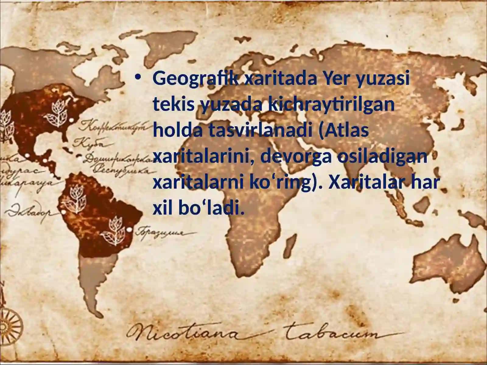 5-sinf Geografiya fanidan Geografik xaritalar dars taqdimoti 3
