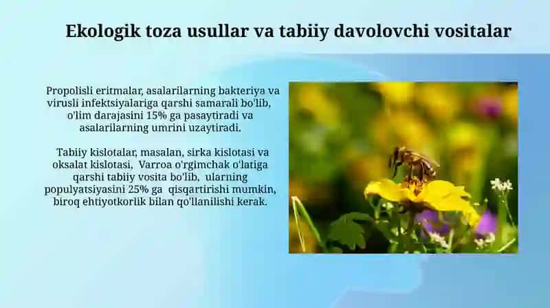 Asalarilarning invazion kasalikklariga qarshi kurash usullarini takomillashtirish 3
