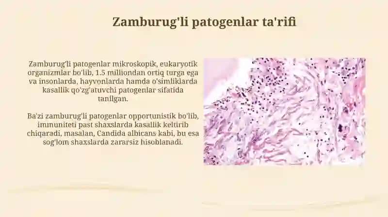 Zamburug'li kasalliklar 3