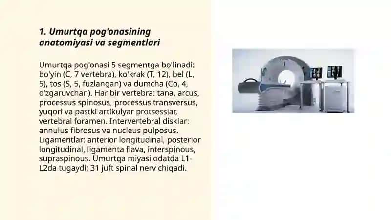 Umurtqa pogonasi umurtqa yuklamasi xolat va qomat tuzulishi 3
