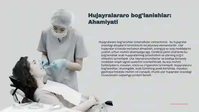 Bosh miya yarim sharlari po'stlog'i da hujayralararo bog' lanishlar.Bosh miya yarim sharlari po'stlog'ining gipoksiyaga reaktsiyasi 3