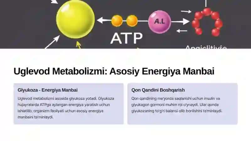 Metabolizm Jarayonlari: Energiyani Hosil Qilish va Sarflash 3