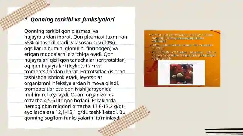 Qon va siyrak tolali biriktiruvchi toʻqimalarning oʻzaro munosabati 3