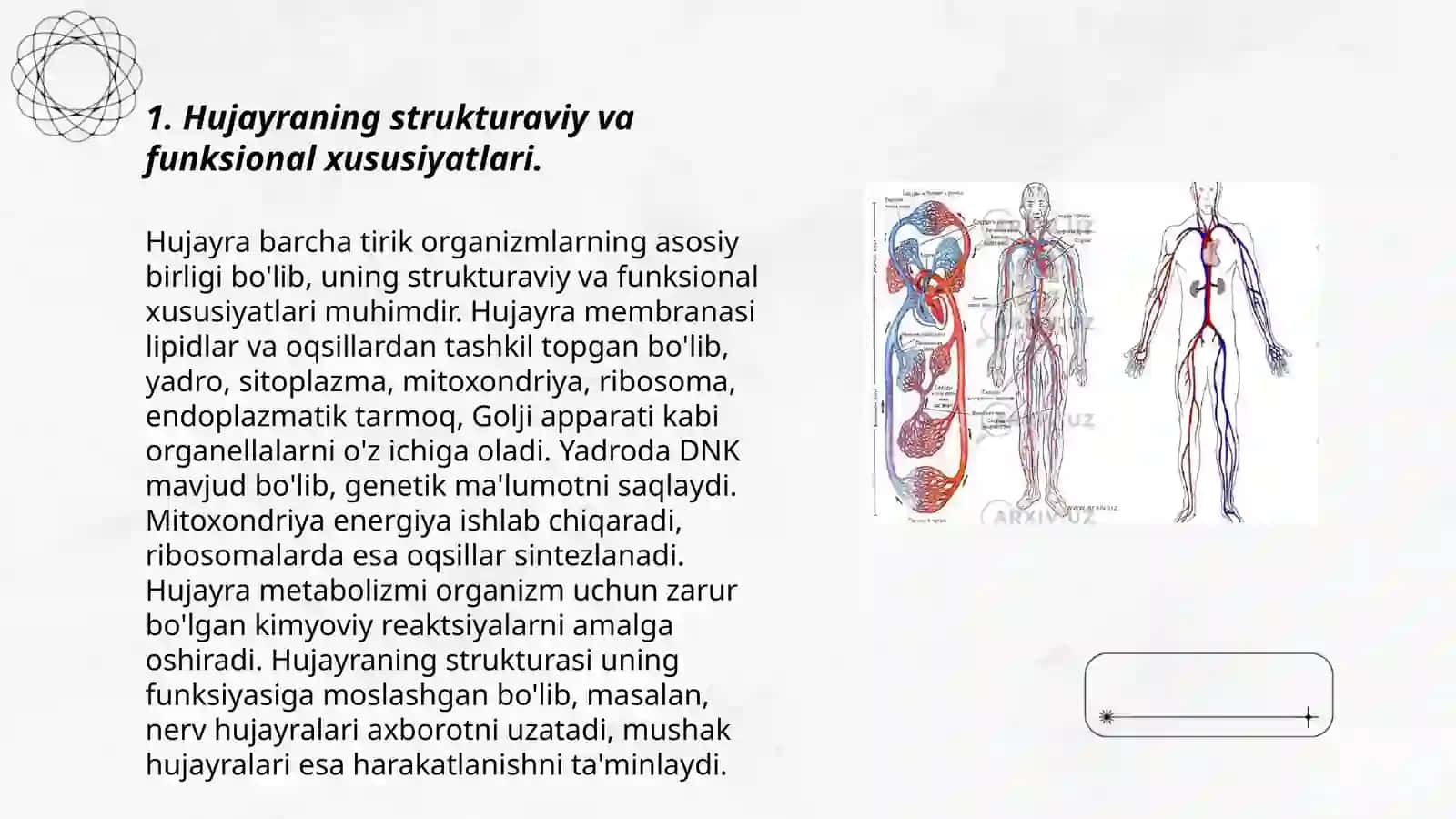 Hujayra patologiyasi 3