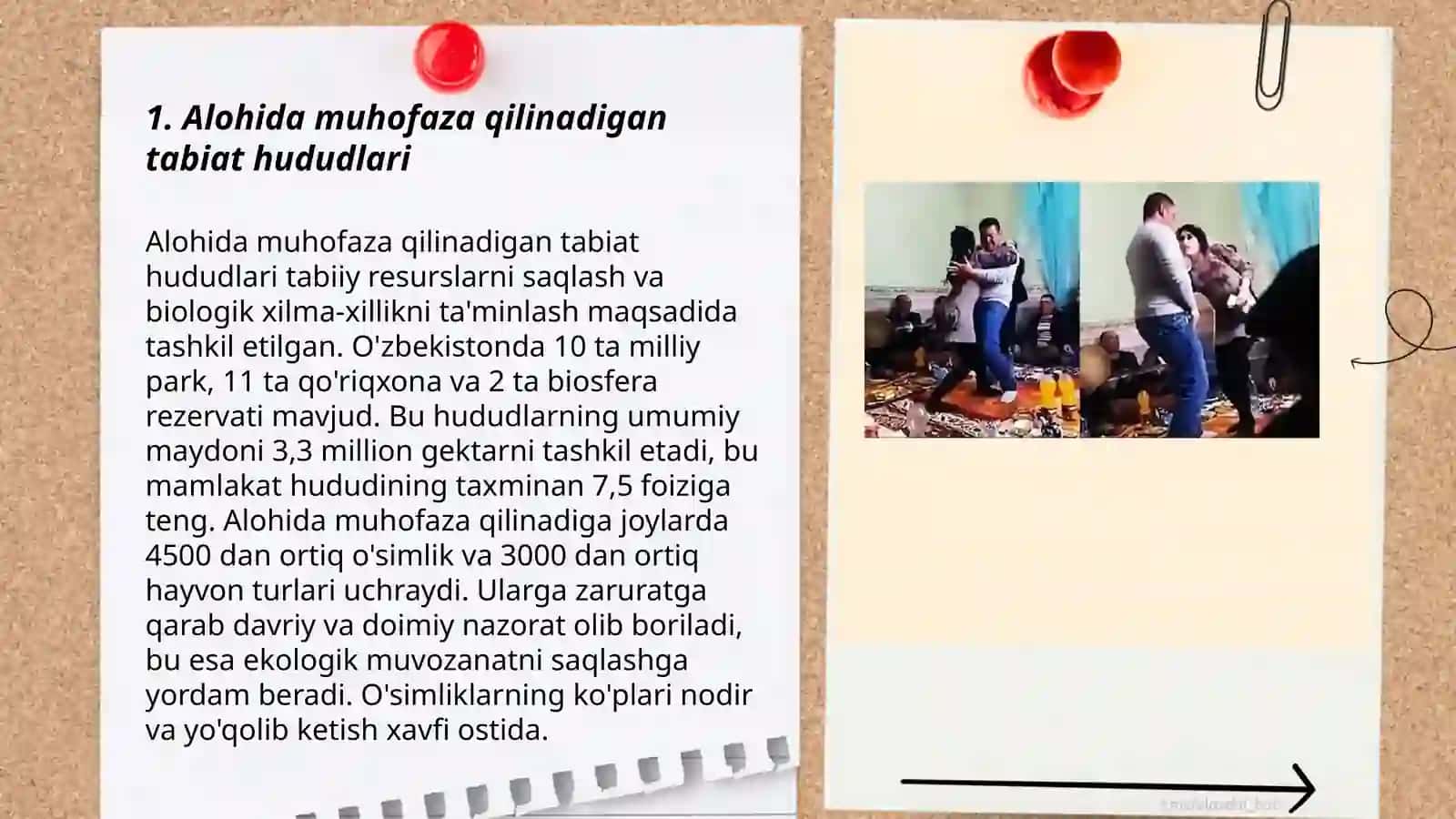 Alohida muhofaza qilinadigan tabiat hududlari 3