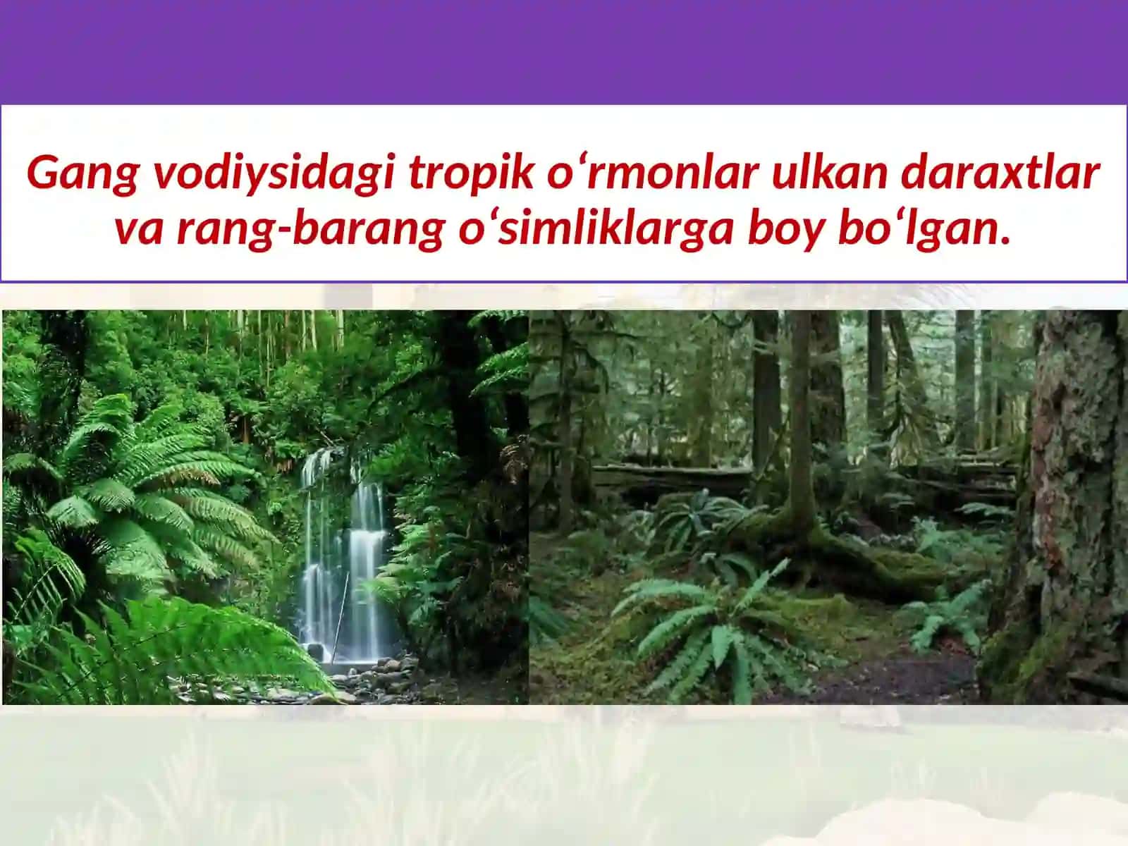 6-sinf Tarix fanidan darslik asosida 16-mavzu - Hindiston sivilizatsiyasi 3