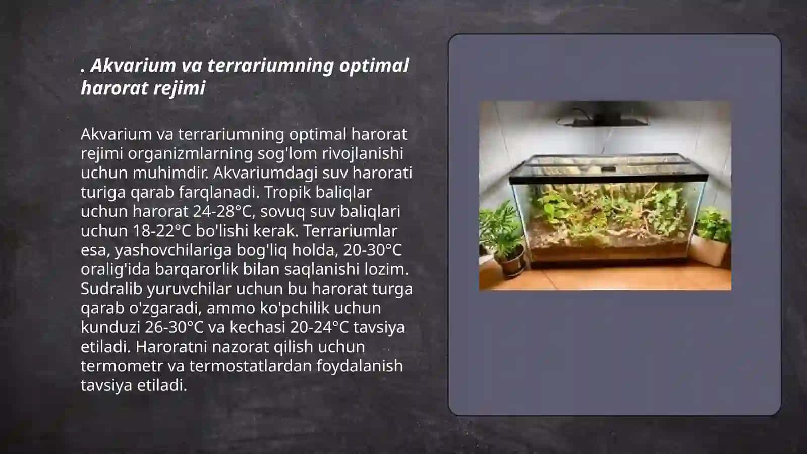 Akvarium va terrariumning optimal harorat rejimi 3