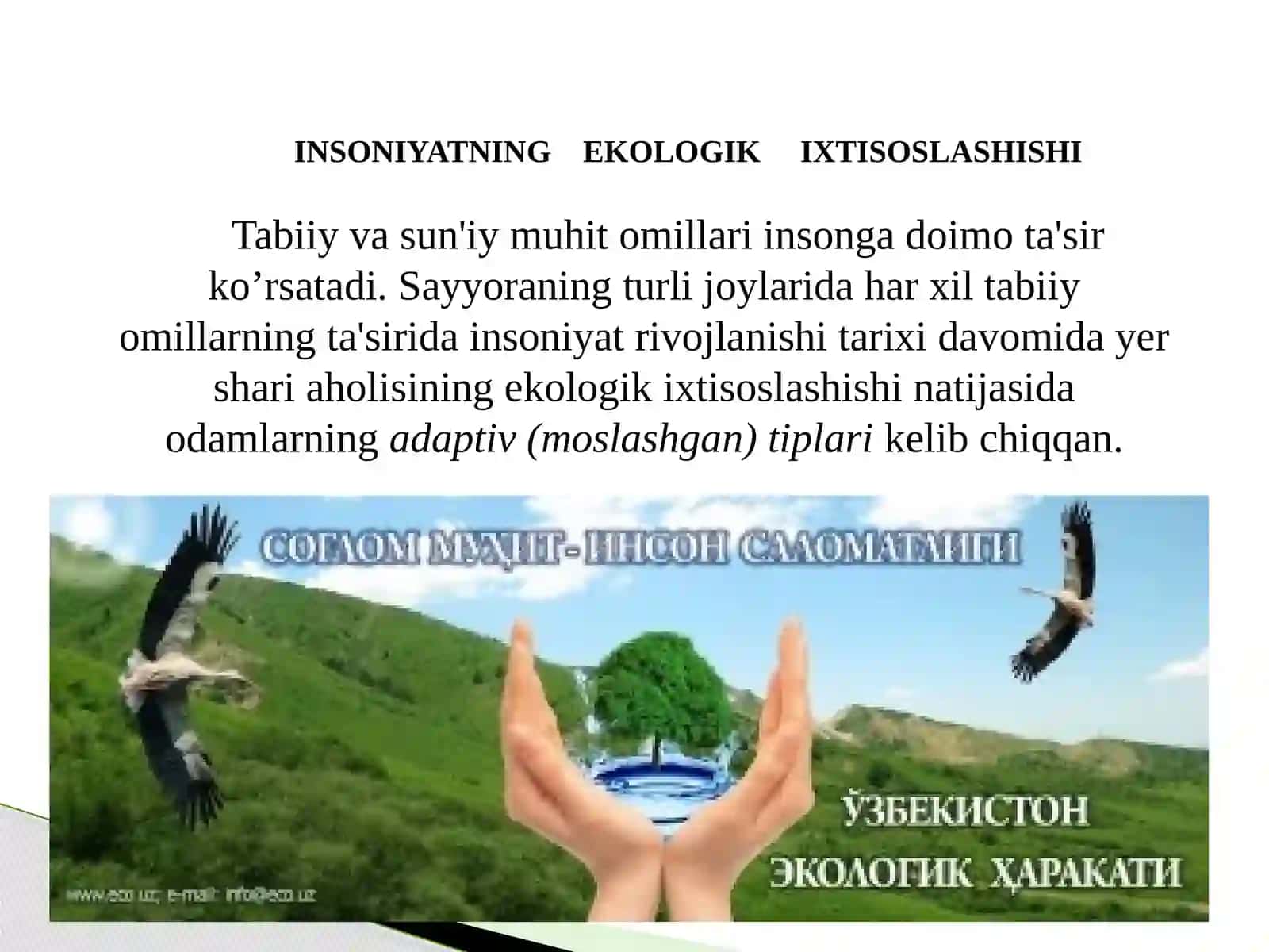 Ekologiya va inson 3