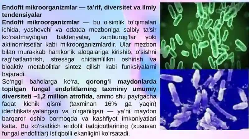 endofit Mikroorganizmlarni ajratib olish va ularning ahamiyati 3