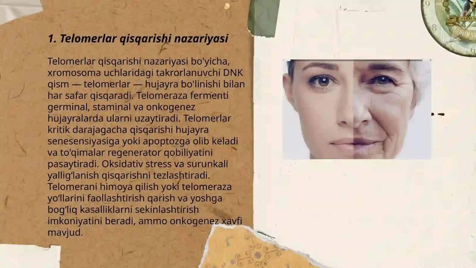 Telomerlar qisqarishi nazariyasi 3