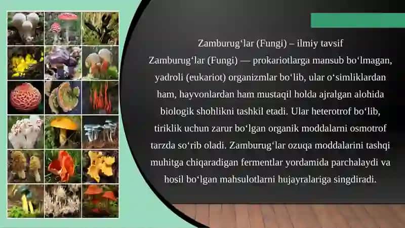 Zamburug'lar. Ularning morfologiyasi, strukturasi va ularni oʻrganish usullari. 3