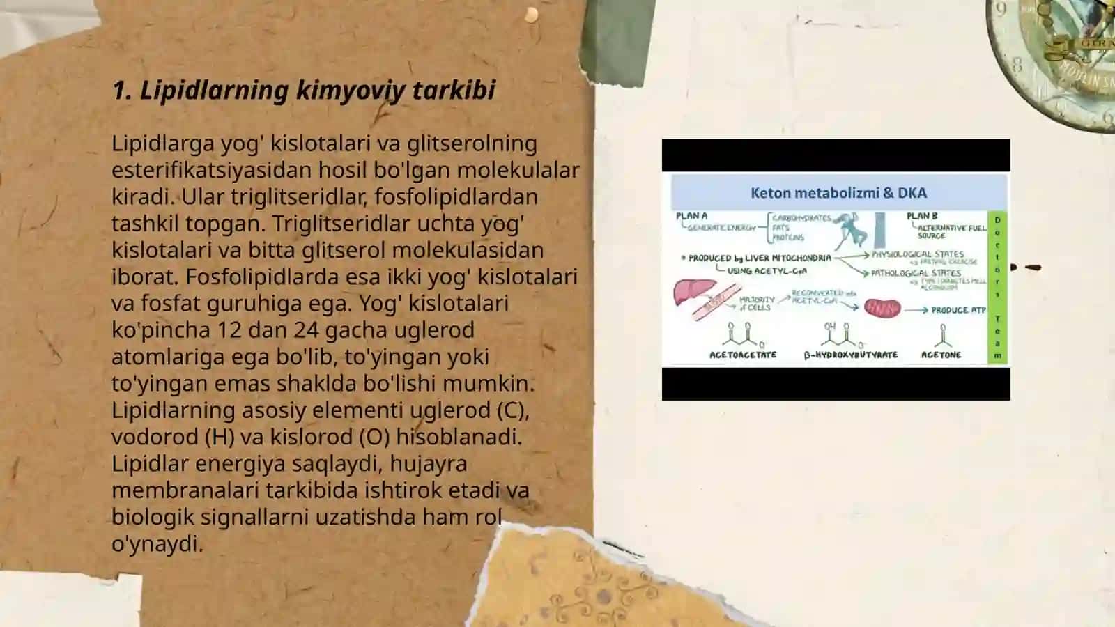 Lipidlar tuzilishi, funksiyasiga metabolizmi JOʻRAYEV JAMSHID 3
