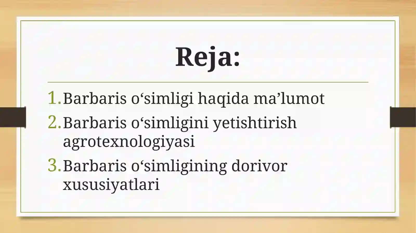 Barbaris(Zirk)oʻsimligi,agrotexnologiyasivadorivorxususiyatlari 3