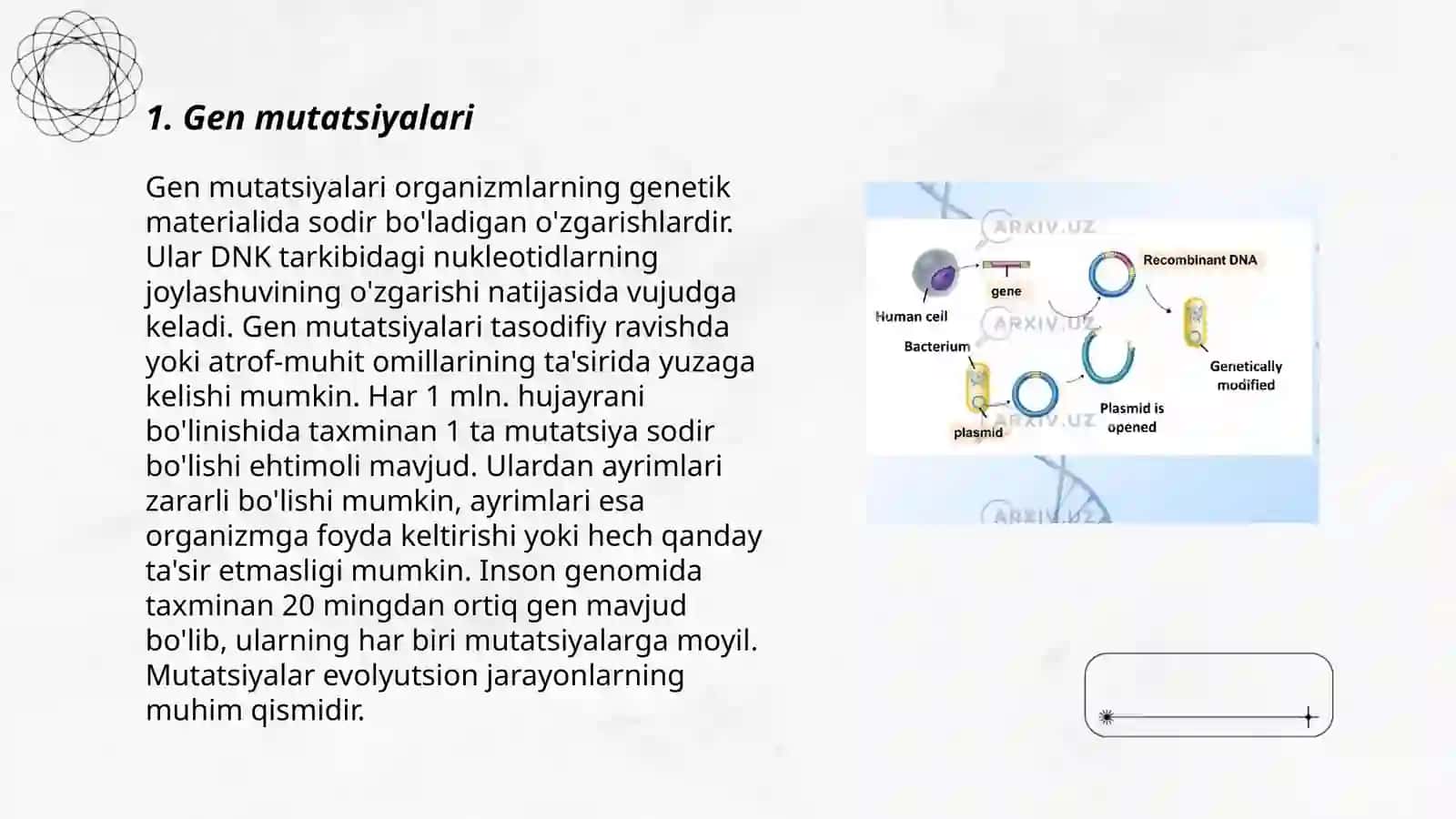 Gen, genom va xromosoma mutatsiyalari 3