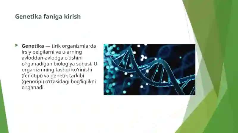 Organizm mutagen taʼsiriga chidamliligi Tomas Morganning xromosoma nazariyasi. Jins genetikasi 3