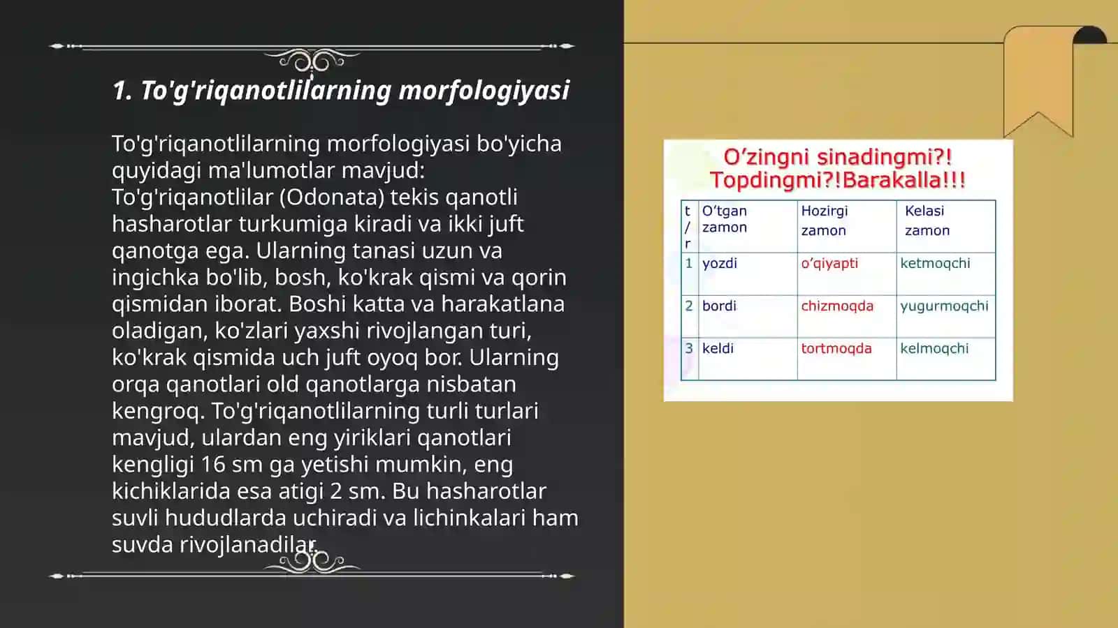 To'g'riqanotlilar va teriqanotlilar turkumi 3