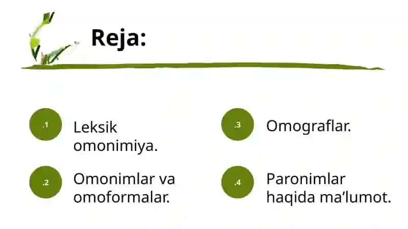 Leksik  omonimiya 3