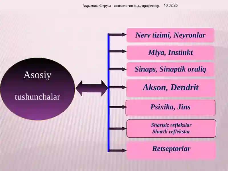 HULQ-ATVORNING PSIXOFOZIOLOGIK ASOSI 3