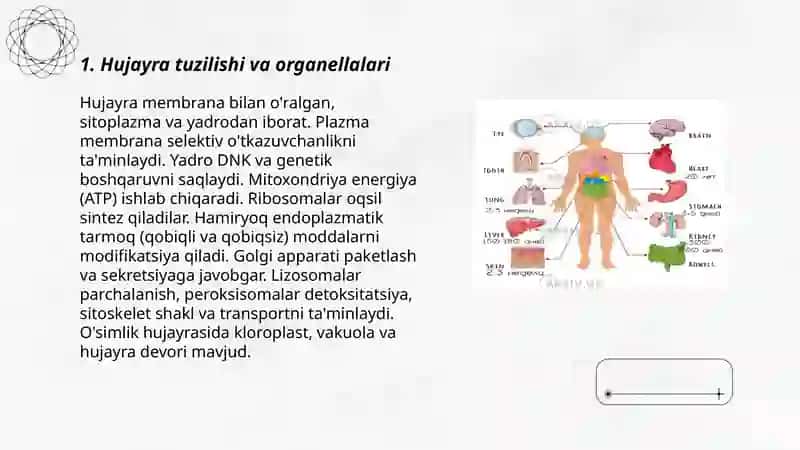 Odam tana qismlari va funksiyalari 3