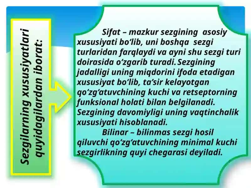 sezgi 3