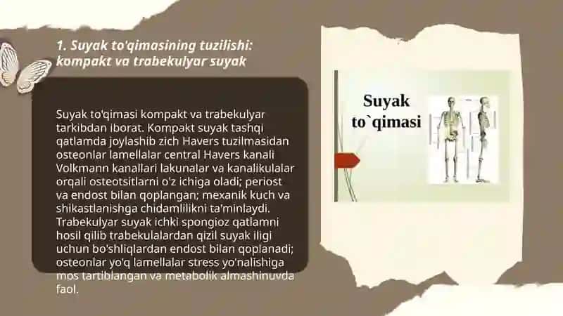 Sitologiya fanidan Mustaqil ta'lim 3
