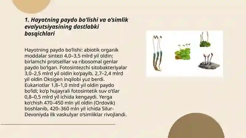 O’simlik evalyutsiyasi va tirik tabiatning tarixiy jarayonda paydo bo’lishi 3