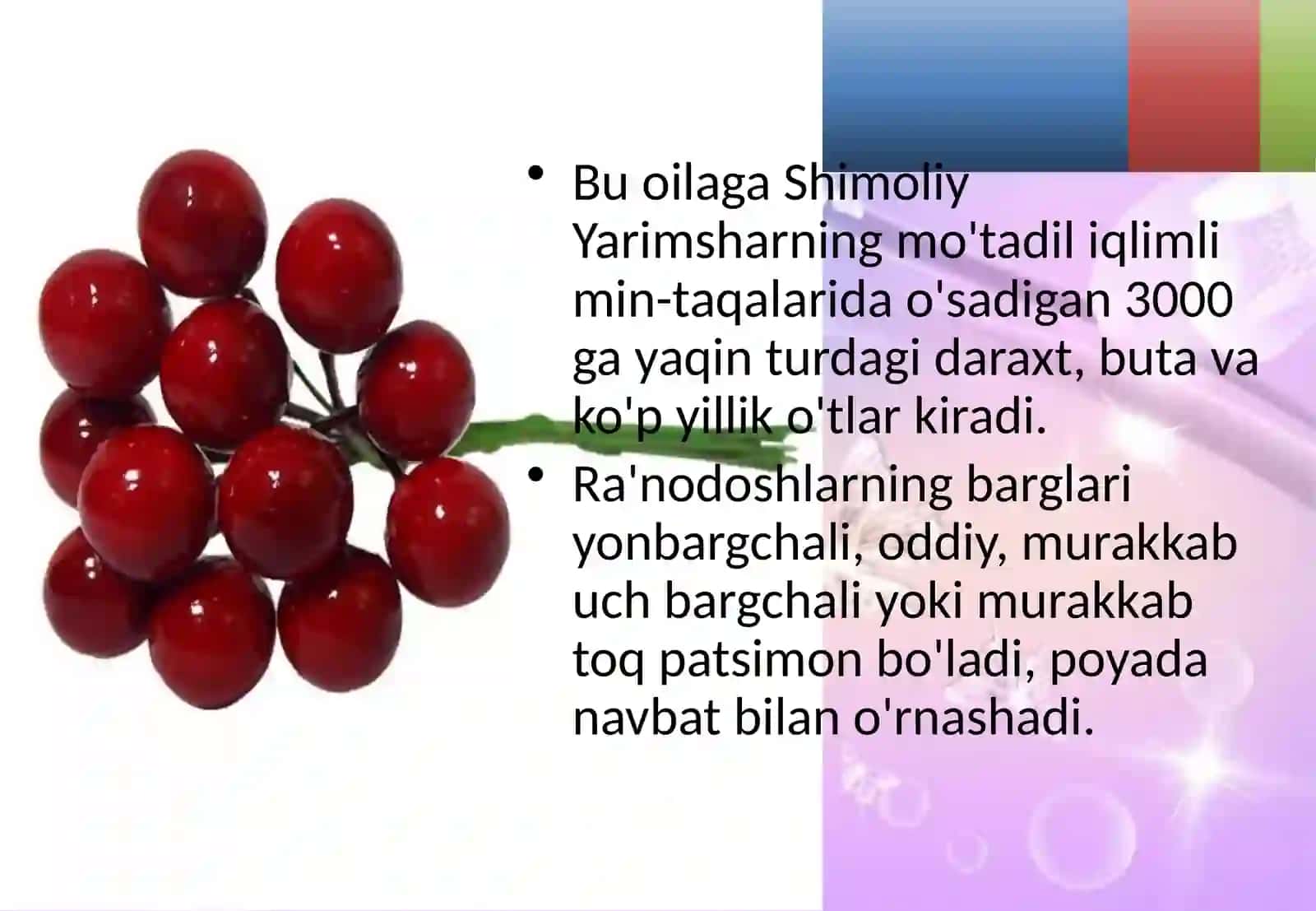 Ra’nodoshlar oilasining asosiy turkum va turlari 3