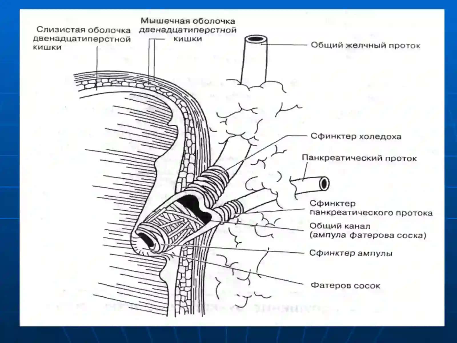 ЎТ ЙЎЛЛАРИДА БАЖАРИЛГАН АМАЛИЁТЛАРДАН КЕЙИНГИ КАСАЛЛИКЛАР 3