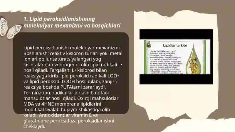 Lipidlarni peroksidlanishi va hujayra shikastlanishi patogenezdagi ahamiyati 3