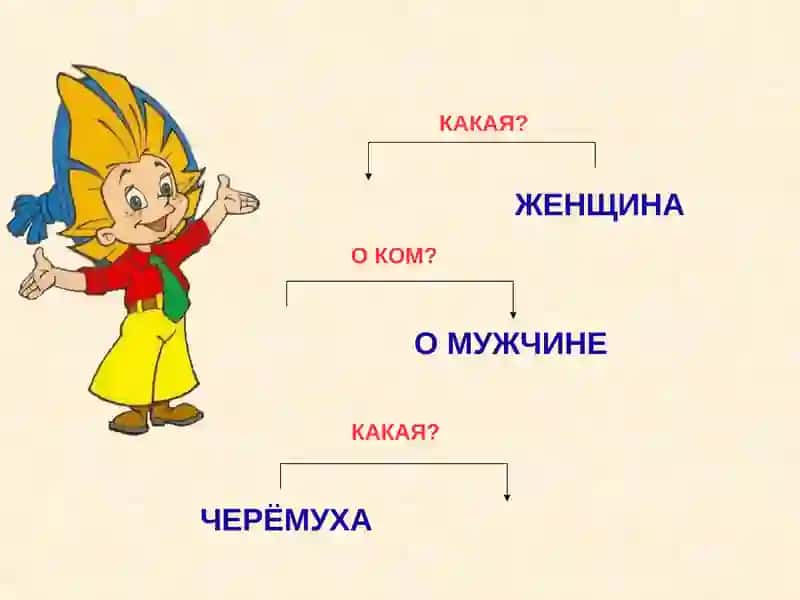 Род имён существительных 3
