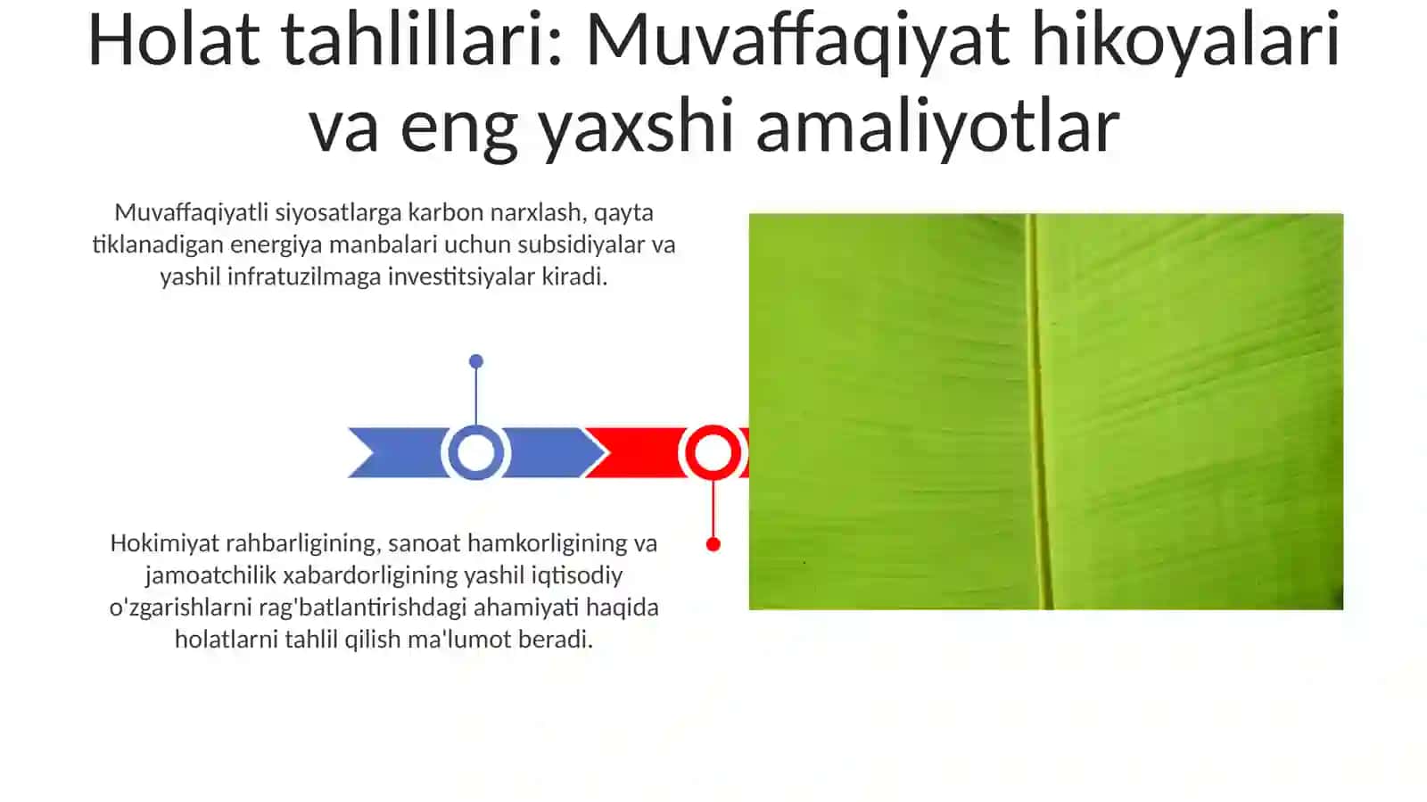 Yaponiyaning Yashil O'tish Safarisi 3