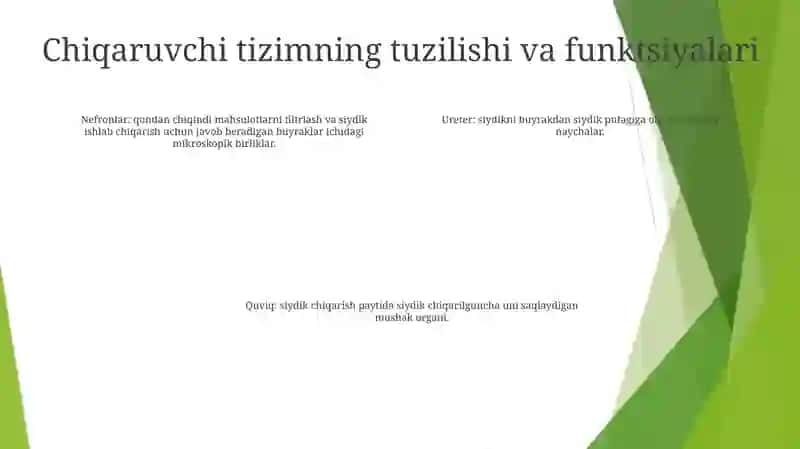 Ayiruv Tizimlari Fiziologiyasi 3