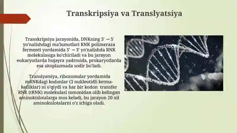 Irsiyatning Molekulyar Asoslari 3