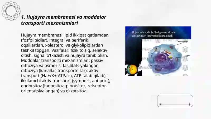Hujayrada moddalar, energiya va maʼlumotlar oqimi. Hujayra proliferatsiyasi muammolarining tibbiyotdagi roʻli 3