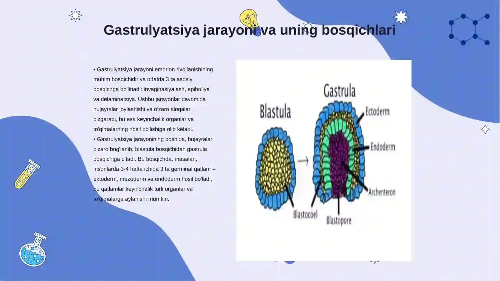 Gastrulyatsiya va oʻq organlarni hosil boʻlishi 3