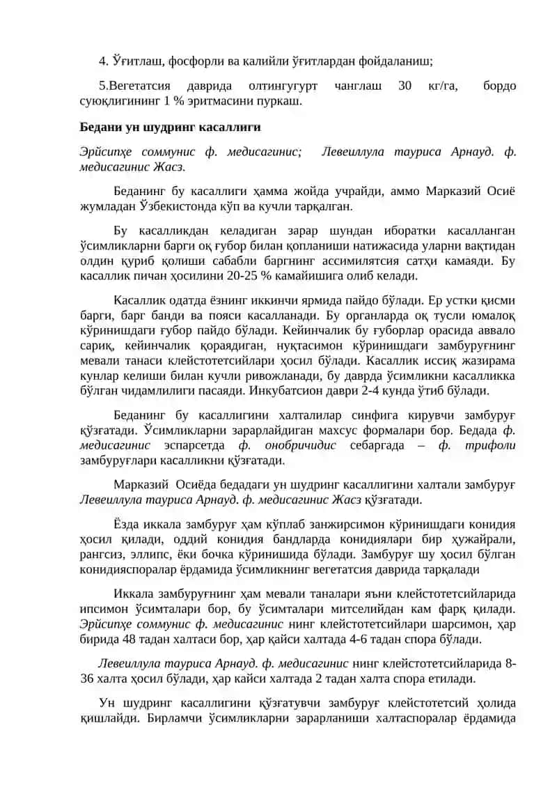 Беда ва дуккакли дон экинлари касалликлари ва уларга қарши кураш чоралари 3