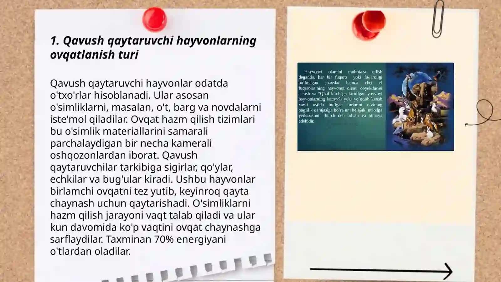 Kavush qaytaruvchi hayvonlarning ozuqasini hazm boʻlishi 3