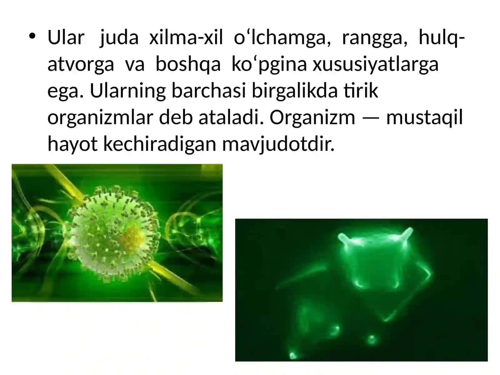 Sinflar bo'yicha biologiya darsi 3