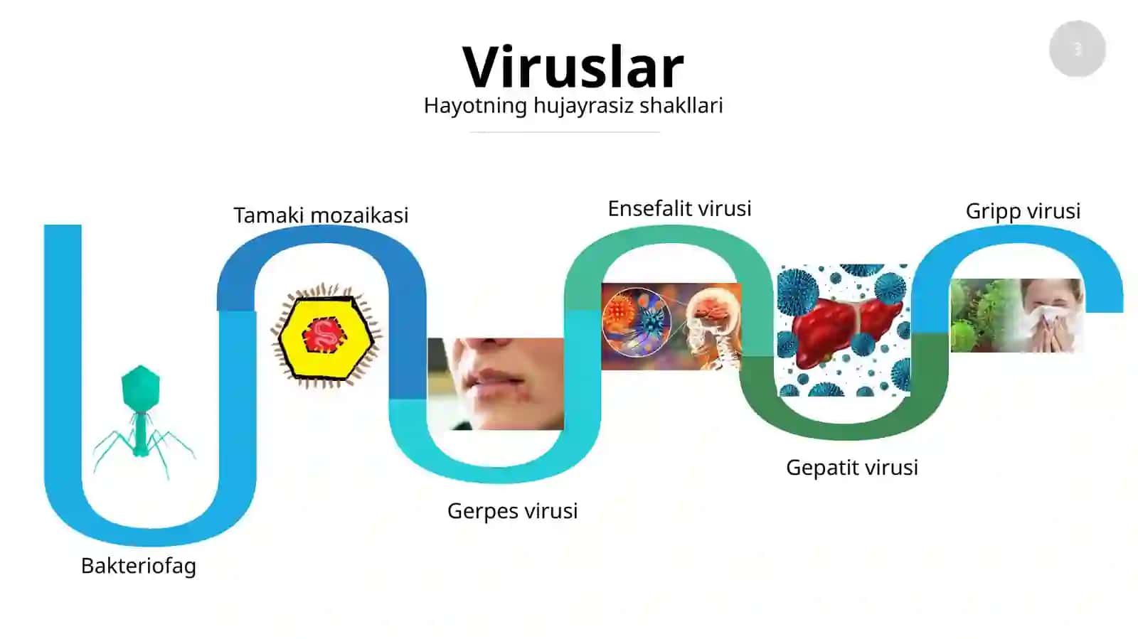Hayotning hujayrasiz shakllari va ular keltirib chiqaradigan kasalliklar 3