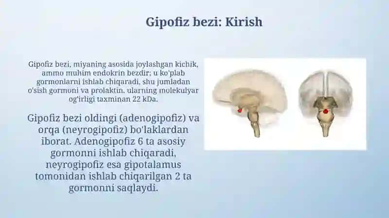 Gipofiz bezi va uning kasallikari 3