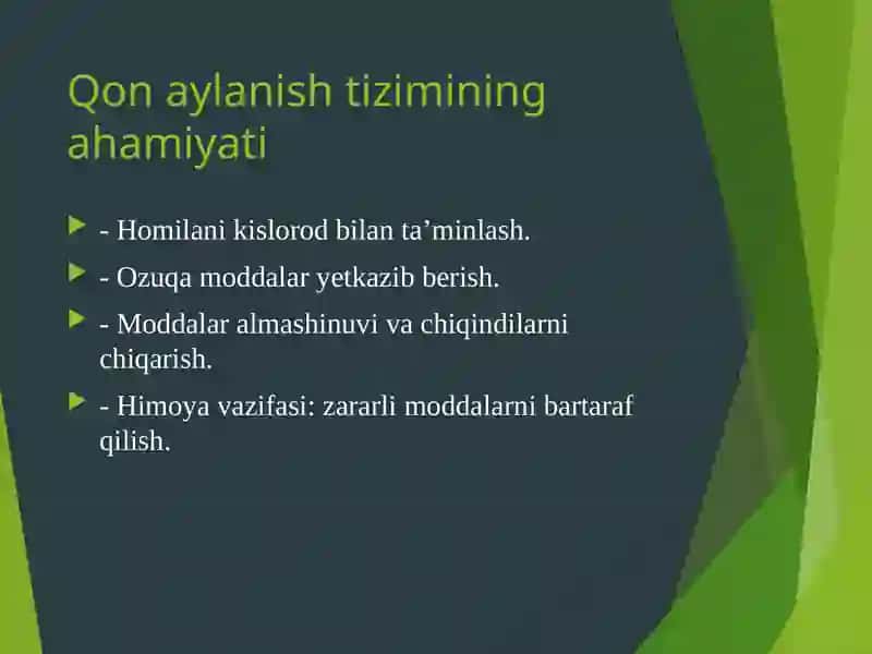 Ona-qornida qon aylanish tizimi 3