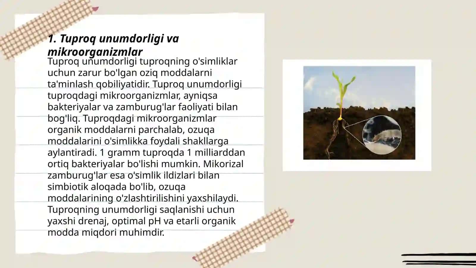 Tuproq unumdorligi va mikroorganizmlar 3