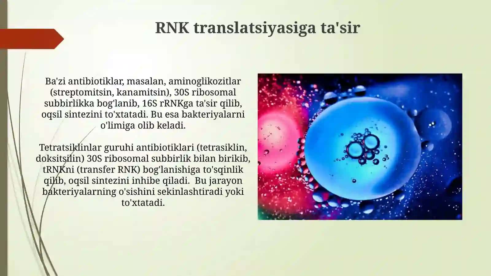 Antibakteriyalarning hujayra nuklein kislotalarigataʼsirmexanizmlari 3