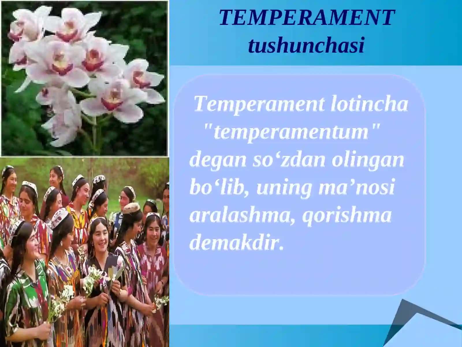 TEMPERAMENT 3