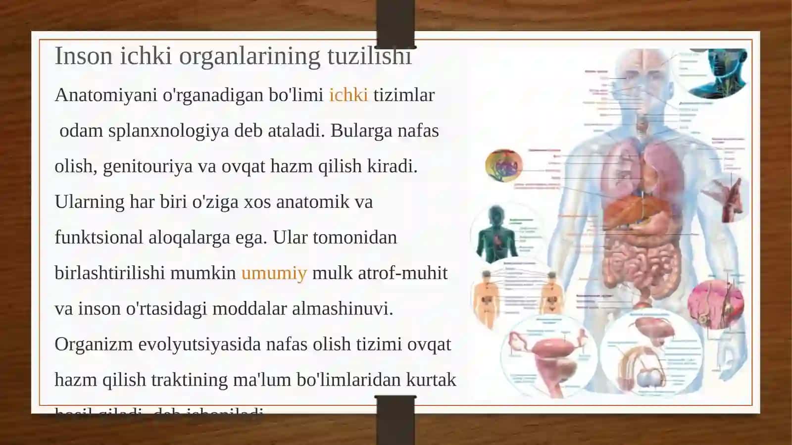 ICHKI ORGANLAR. ICHKI ORGANLARNING UMUMIY TA`RIFI, ULARNING TASNIFI. TANANING BO`YIN, KO`KRAK VA QORIN BO`SHLIG`IDAGI ORGANLAR 3