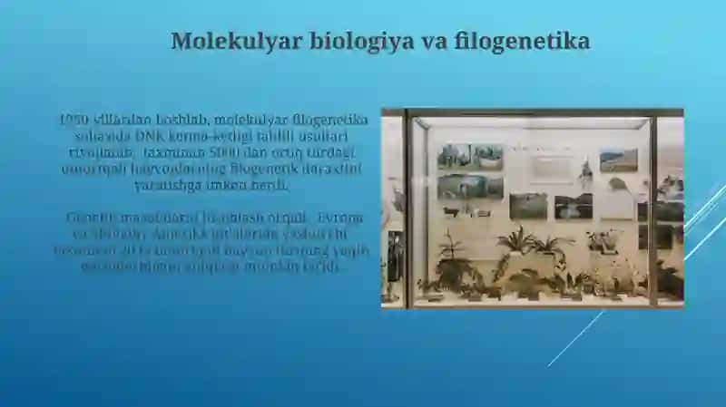 Umurtqalilar Zoologiyasi fanning rivojlanish tarixi 3