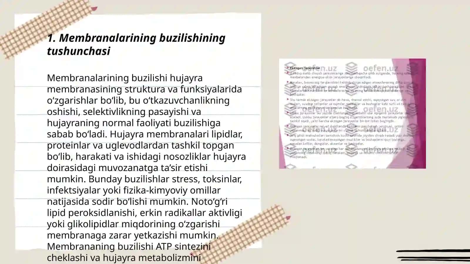 Membrana buzilishlari va ularning patologik jarayonlar kelib chiqishidagi oʻrni 3