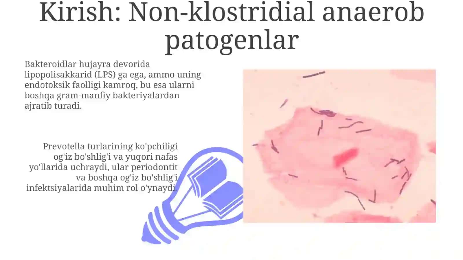 Patogen anaerob klostridial bo'lmagan infeksiya qo'zg'atuvchilari (Bacteroides, Prevotella) 3