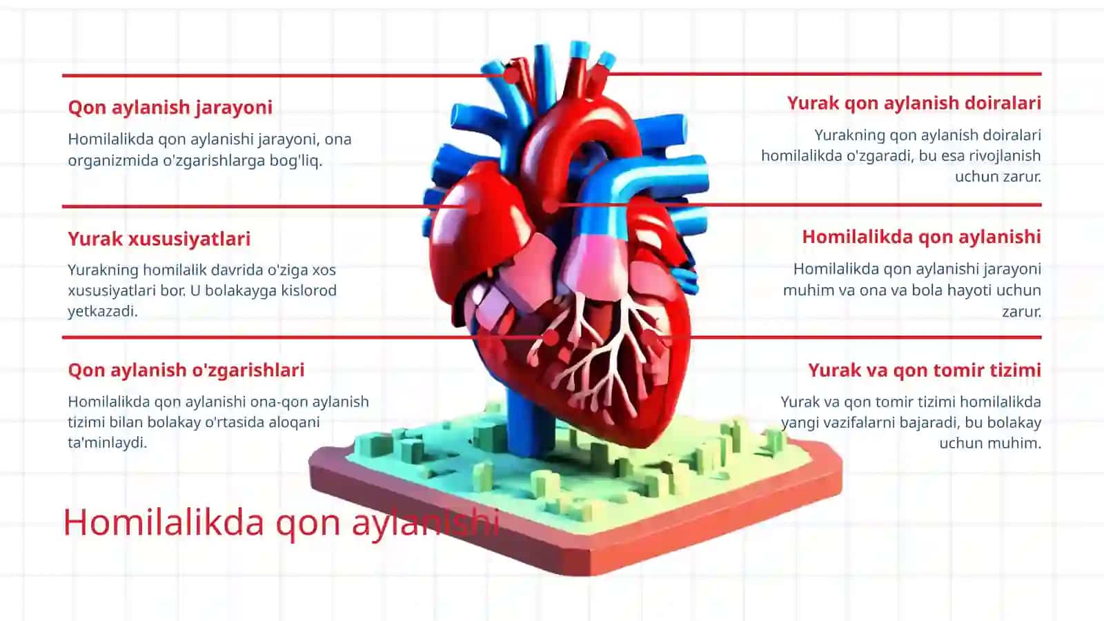 Homilalik qon aylanish doiralari va ularning o'zgarishi 3
