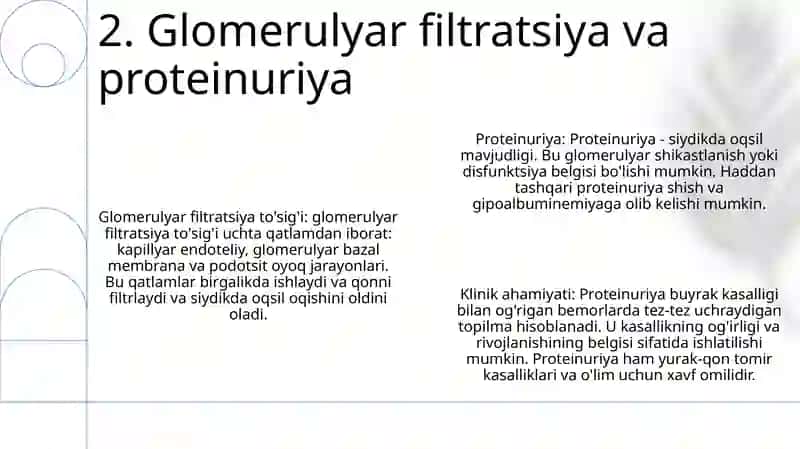 Buyrak Biokimyosi Buyrak Kasalliklari 3